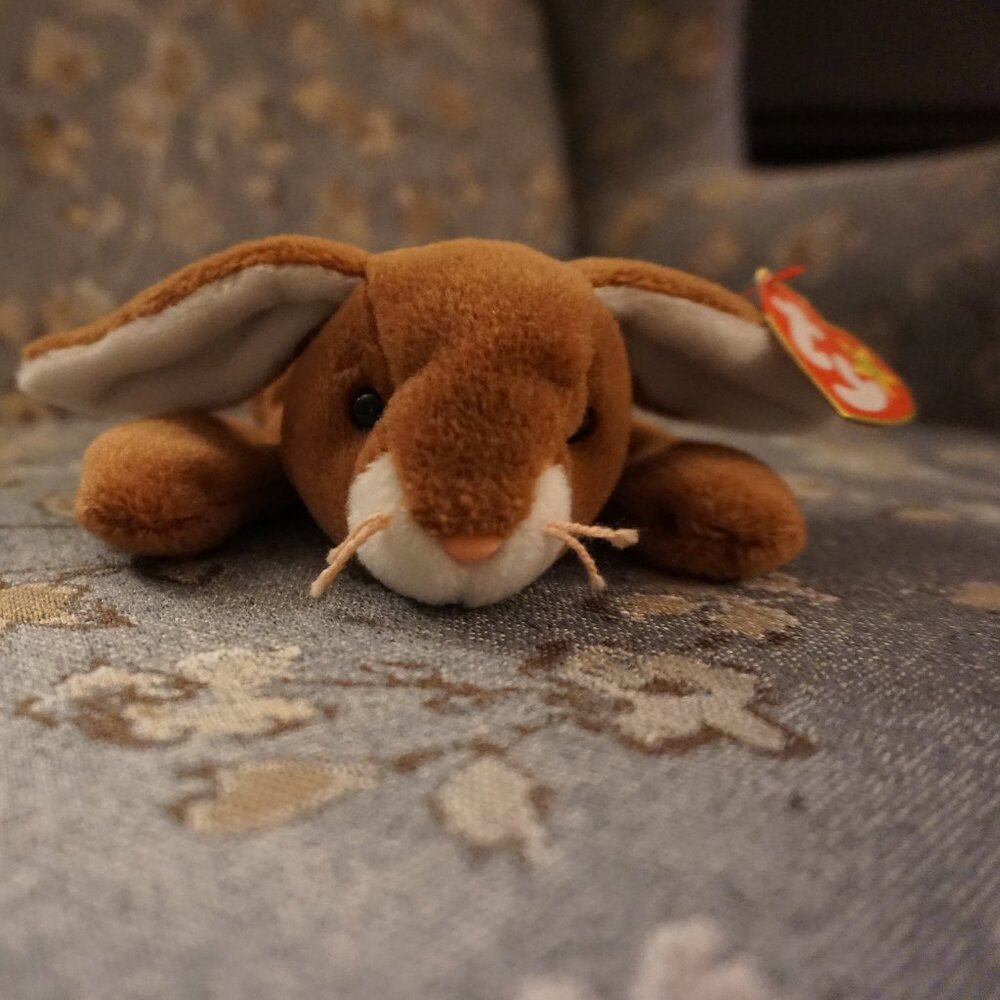 TY BEANIE BABY "EARS" 🐰